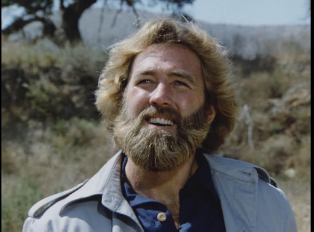 キラー・ビー２／殺人蜂ミサイルタウン大襲撃の画像