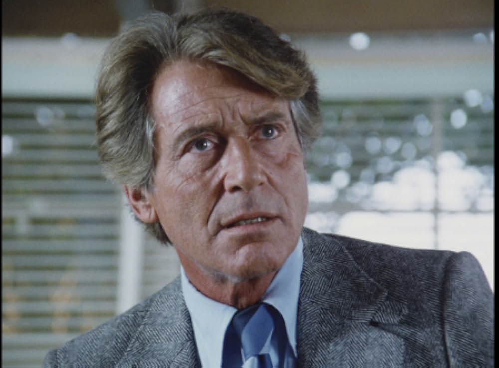 キラー・ビー２／殺人蜂ミサイルタウン大襲撃の画像