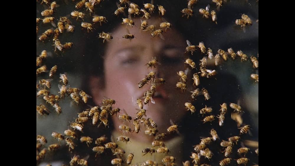 キラー・ビー２／殺人蜂ミサイルタウン大襲撃の画像