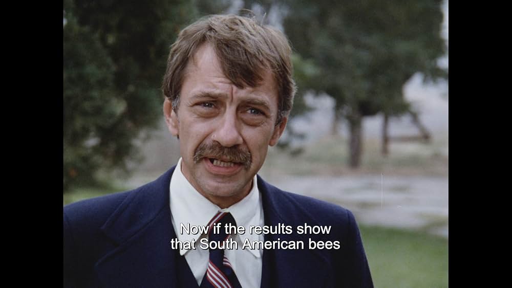 キラー・ビー２／殺人蜂ミサイルタウン大襲撃の画像