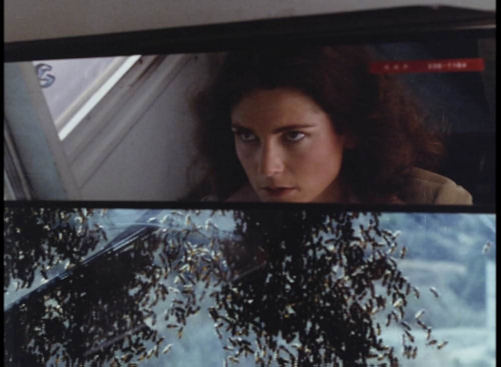 キラー・ビー２／殺人蜂ミサイルタウン大襲撃の画像