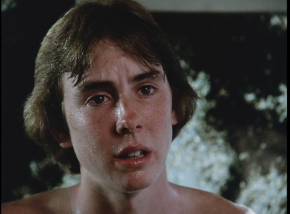 キラー・ビー２／殺人蜂ミサイルタウン大襲撃の画像