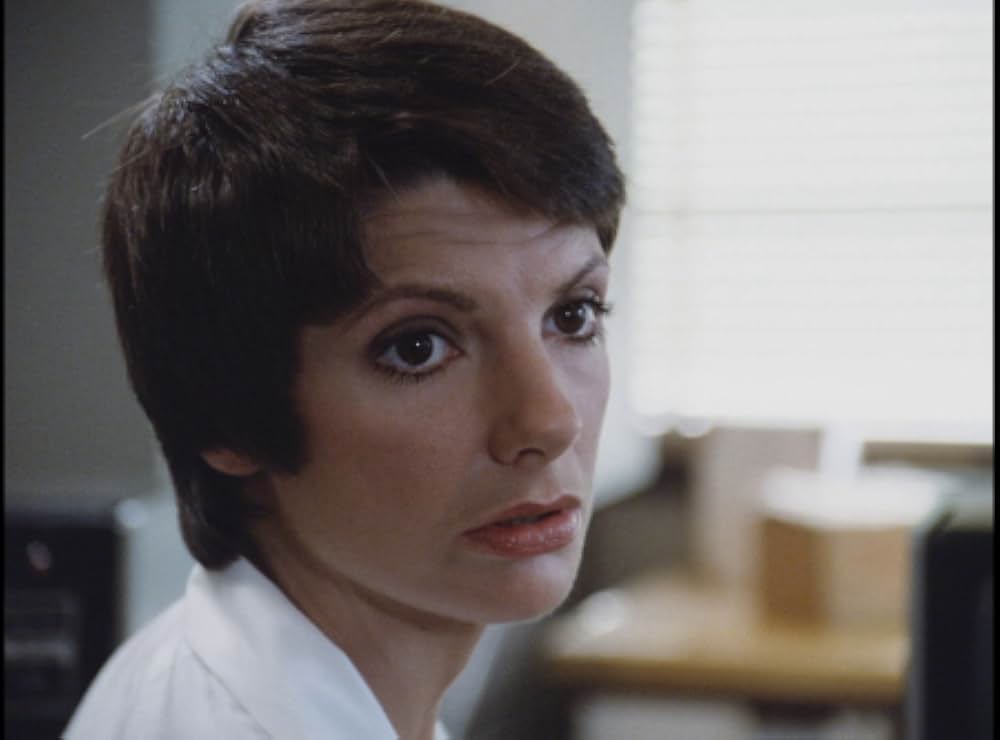 キラー・ビー２／殺人蜂ミサイルタウン大襲撃の画像