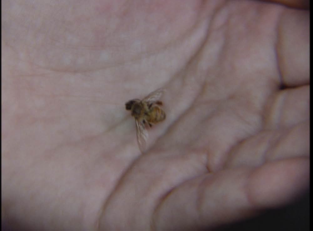 キラー・ビー２／殺人蜂ミサイルタウン大襲撃の画像