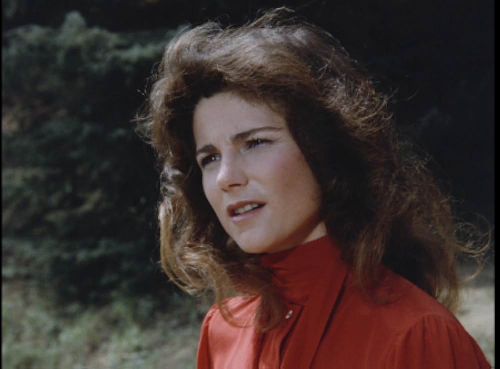 キラー・ビー２／殺人蜂ミサイルタウン大襲撃の画像