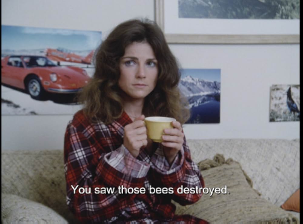 キラー・ビー２／殺人蜂ミサイルタウン大襲撃の写真