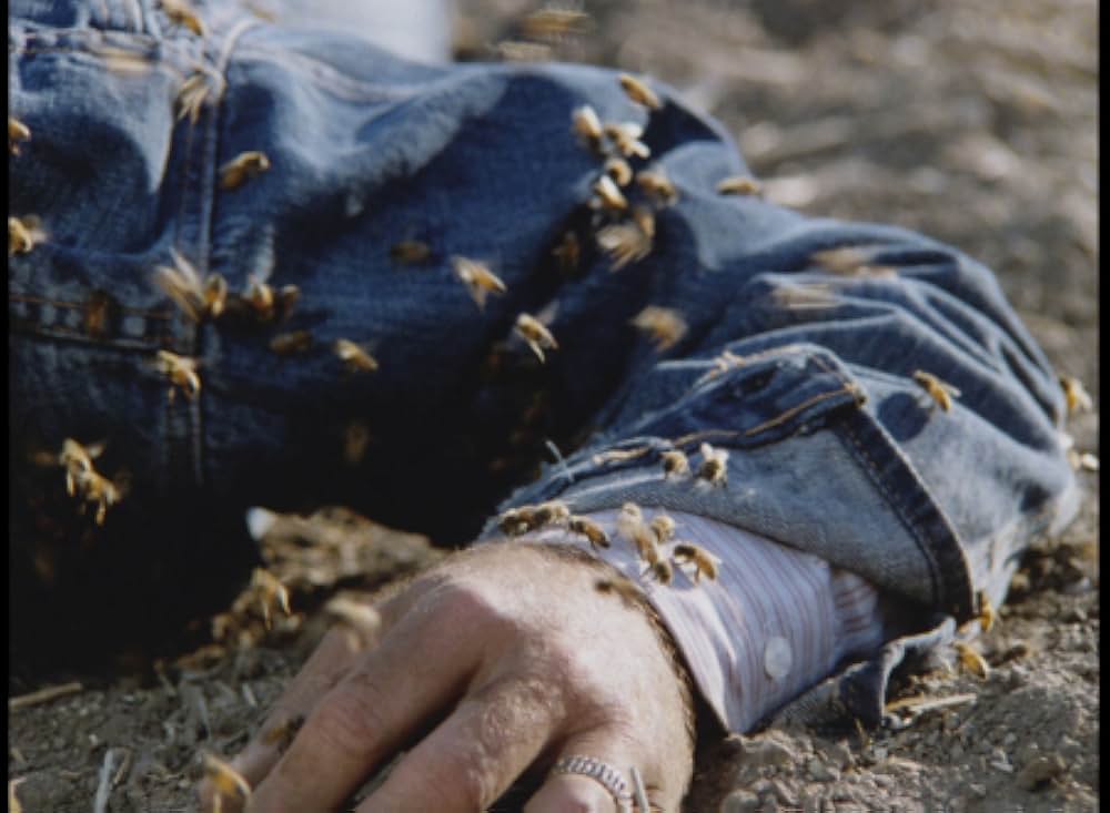 キラー・ビー２／殺人蜂ミサイルタウン大襲撃の画像