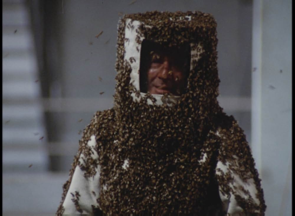 キラー・ビー２／殺人蜂ミサイルタウン大襲撃の画像