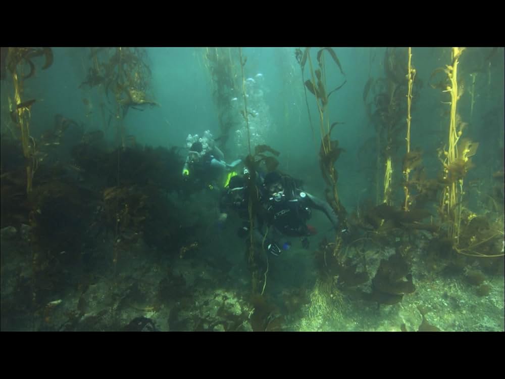 ノー・ブレス 深海迷路の画像