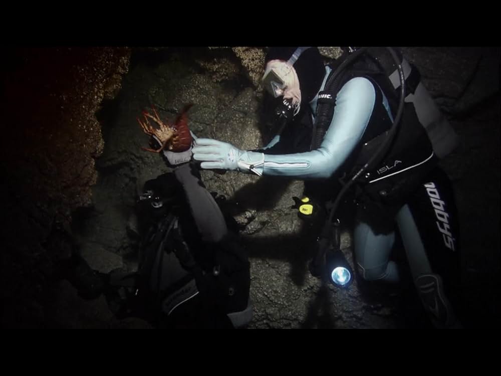 ノー・ブレス 深海迷路の画像