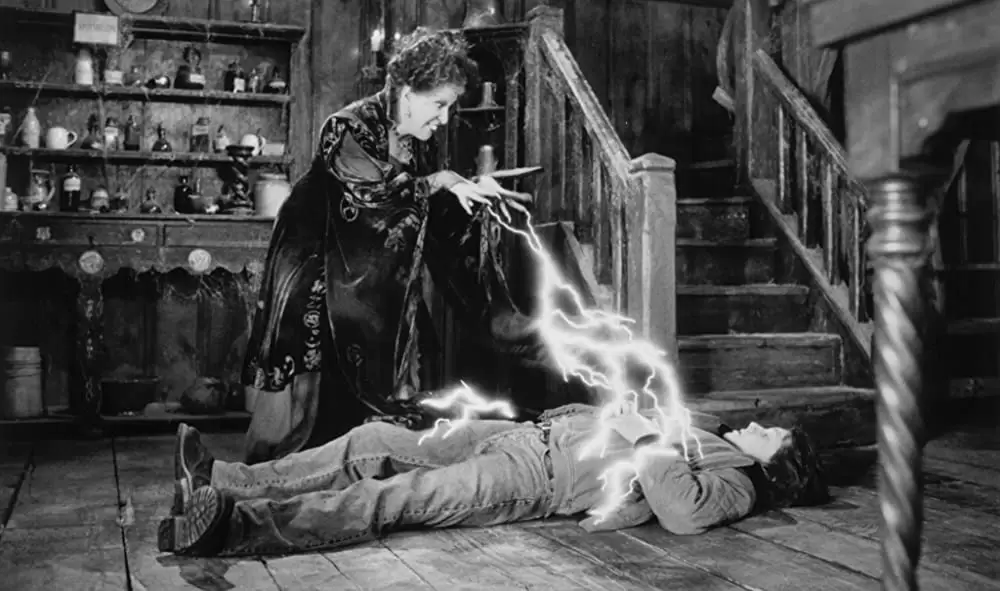 「ホーカス ポーカス」ベット・ミドラー & オムリ・カッツの画像