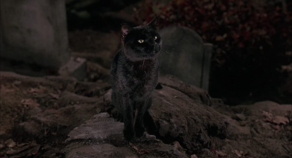 ホーカス ポーカスの画像