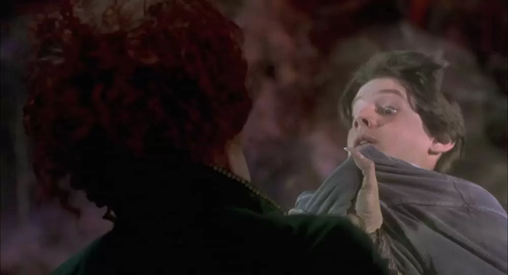 「ホーカス ポーカス」ベット・ミドラー & オムリ・カッツの画像