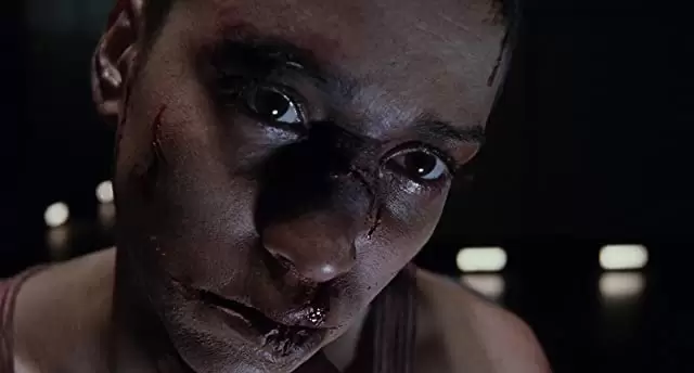 マーターズの画像