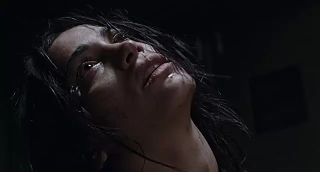 マーターズの画像