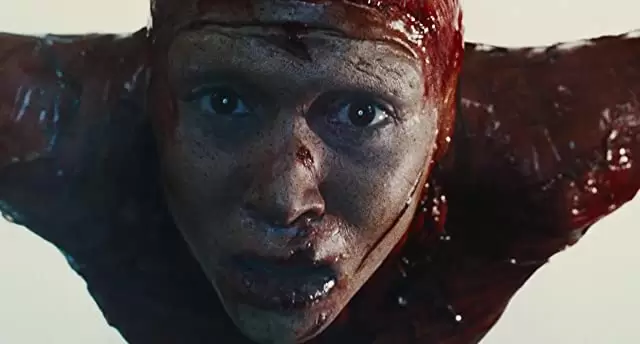 マーターズの画像