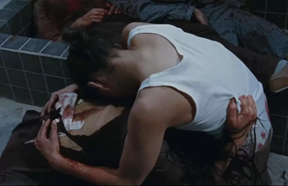 マーターズの画像