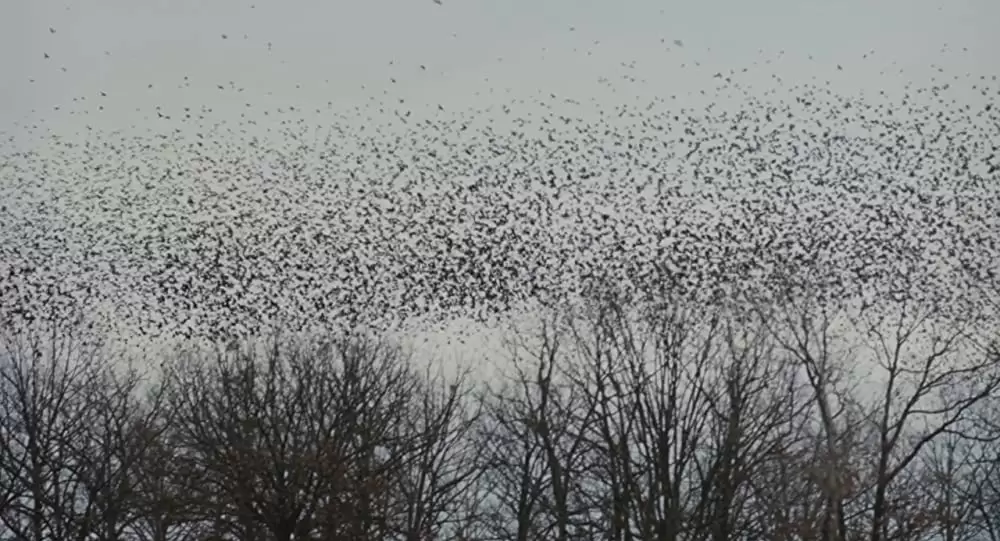 マーターズの画像