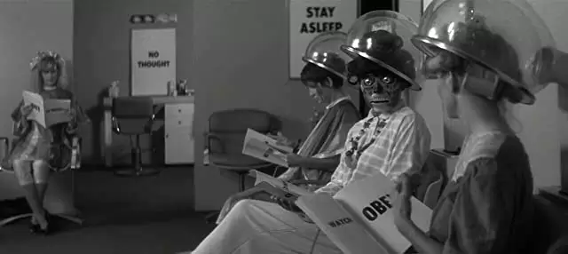 ゼイリブの画像