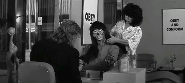 ゼイリブの画像