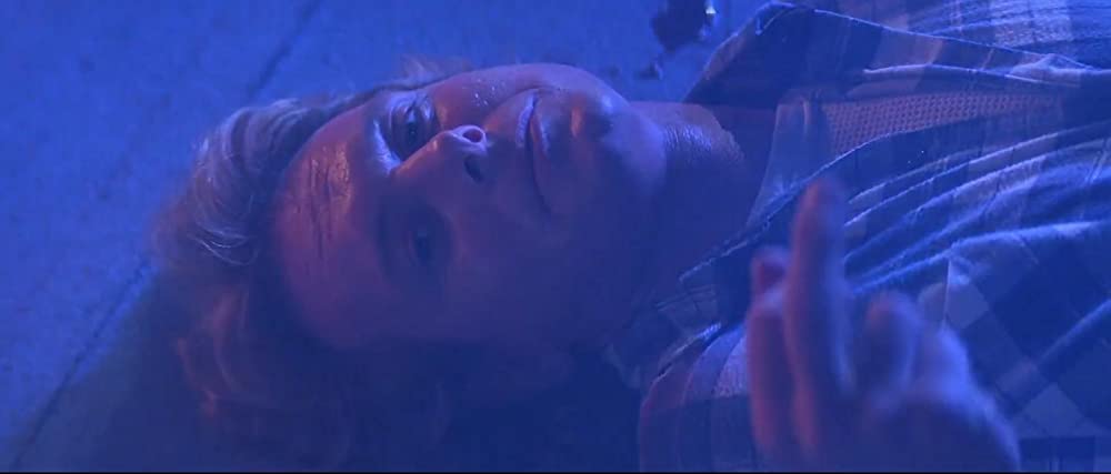 ゼイリブの画像