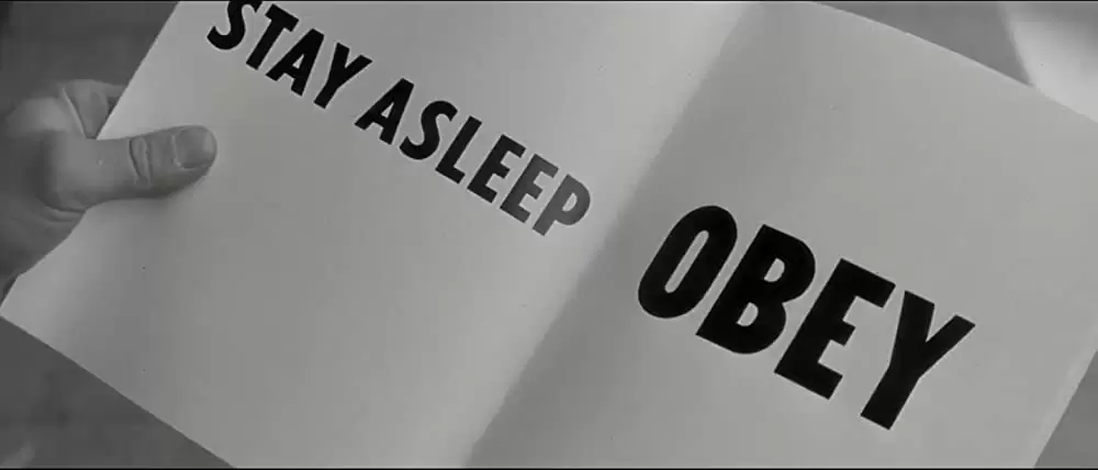 ゼイリブの画像