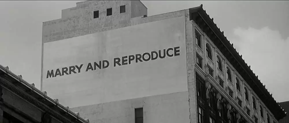 ゼイリブの画像