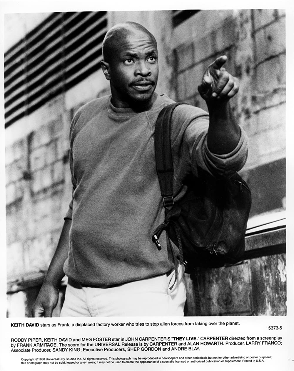 ゼイリブの画像