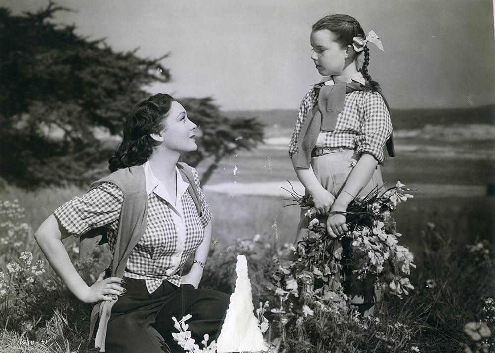 The Lady Pays Off（原題）の画像