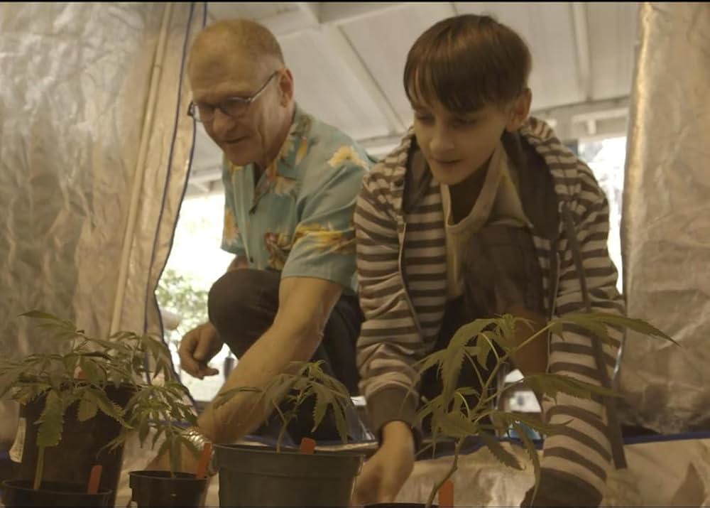 大麻が救う命の物語の画像