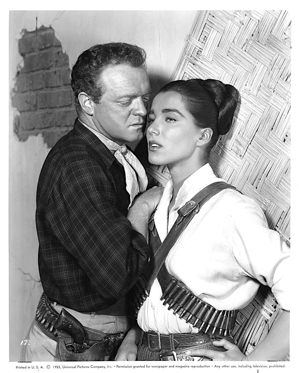 黄金の大地の画像