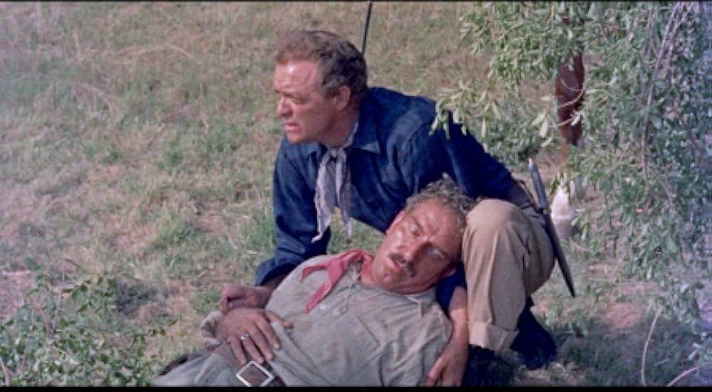 黄金の大地の画像