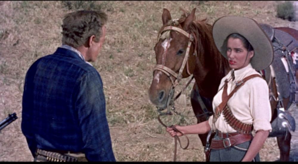 黄金の大地の画像