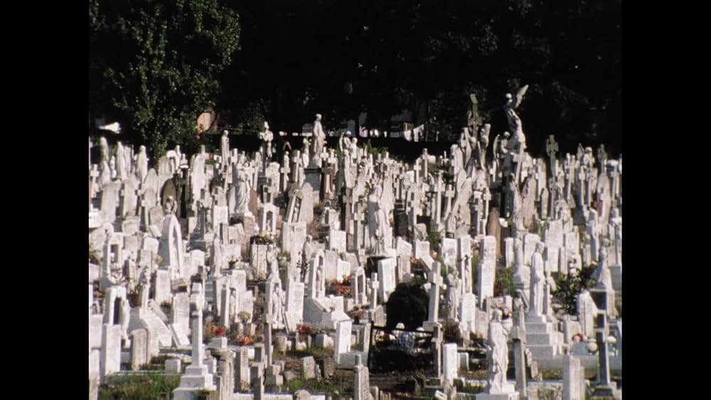 The Black Tower（原題）の画像