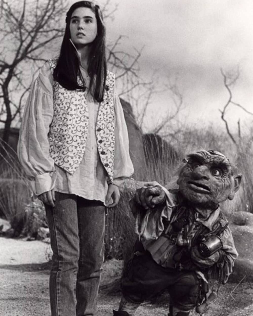 ラビリンス／魔王の迷宮の画像