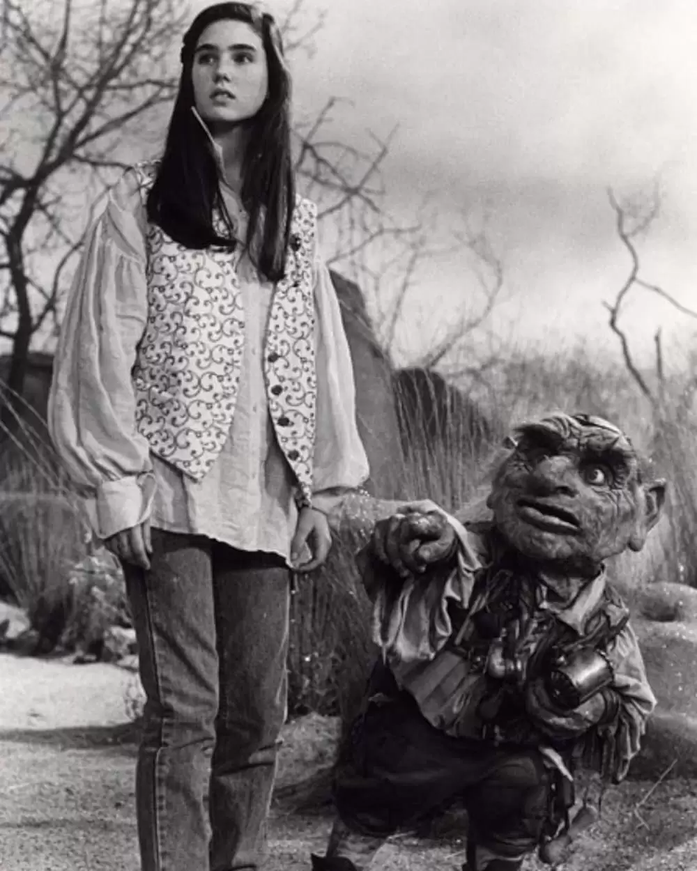 ラビリンス／魔王の迷宮の画像