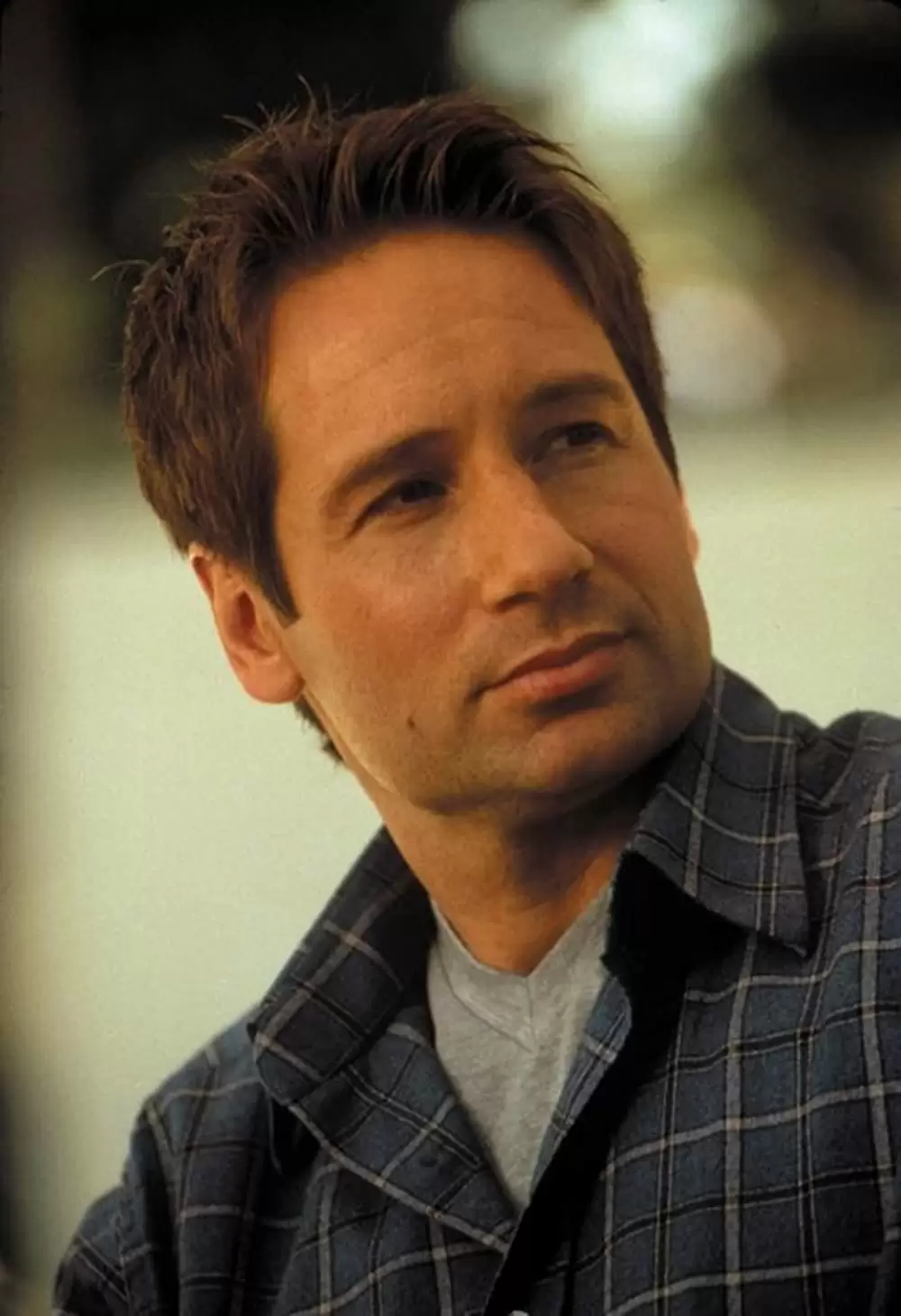 エボリューションの画像