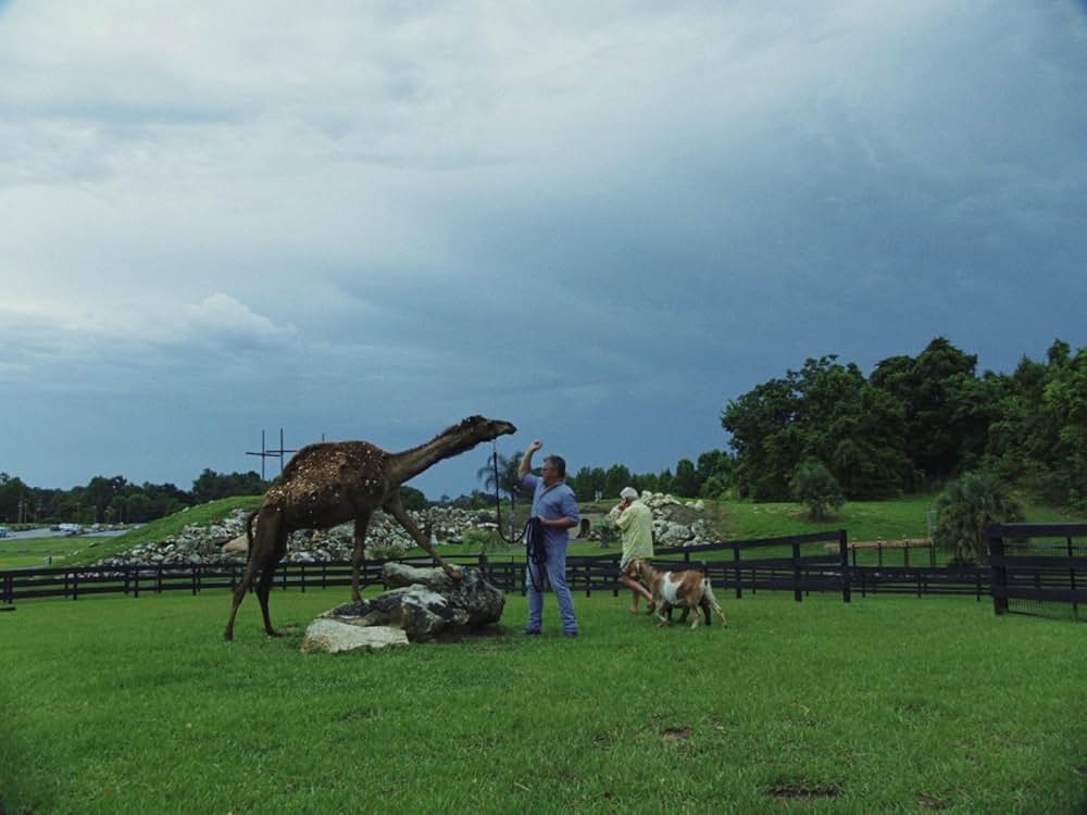 Some Kind of Heaven（原題）の画像