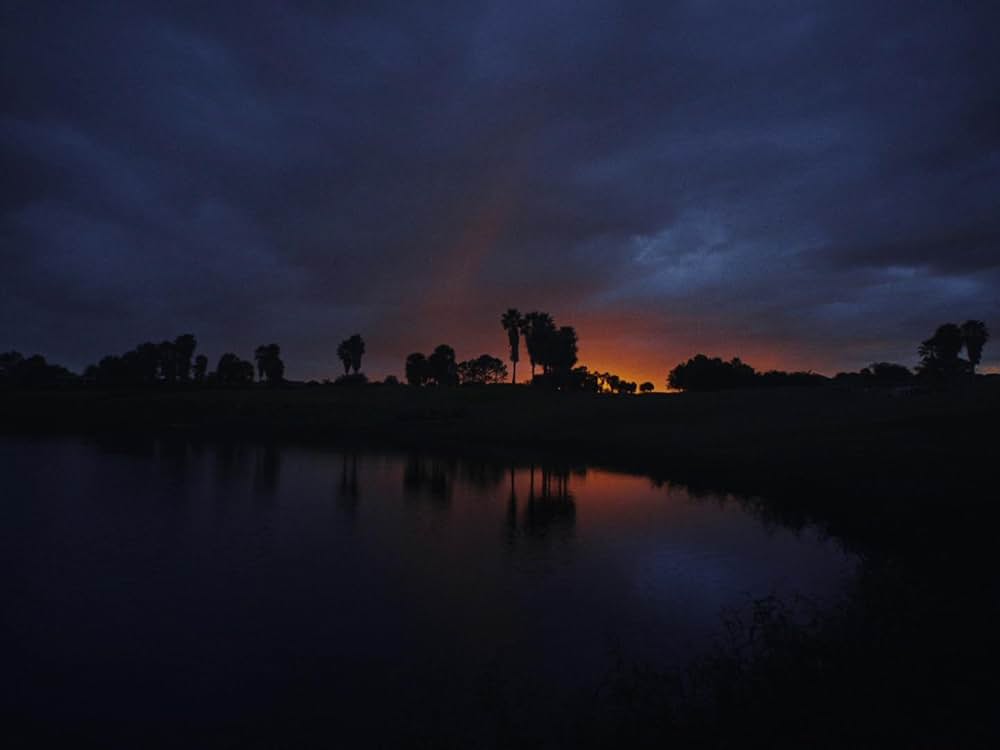 Some Kind of Heaven（原題）の画像