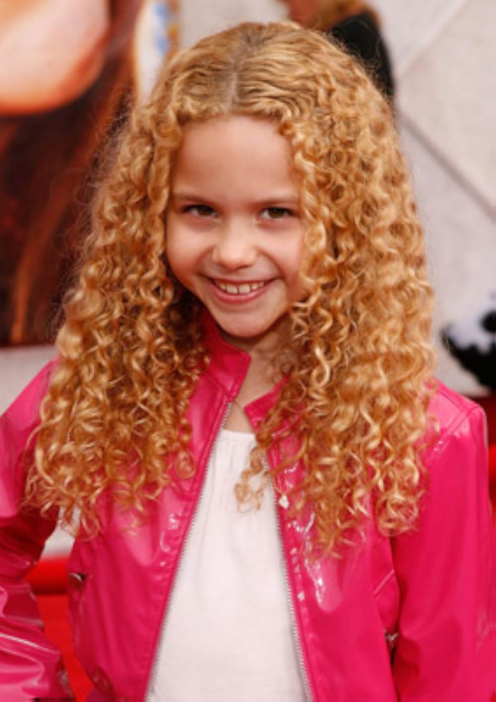 ハンナ・モンタナ／ザ・ムービーの画像