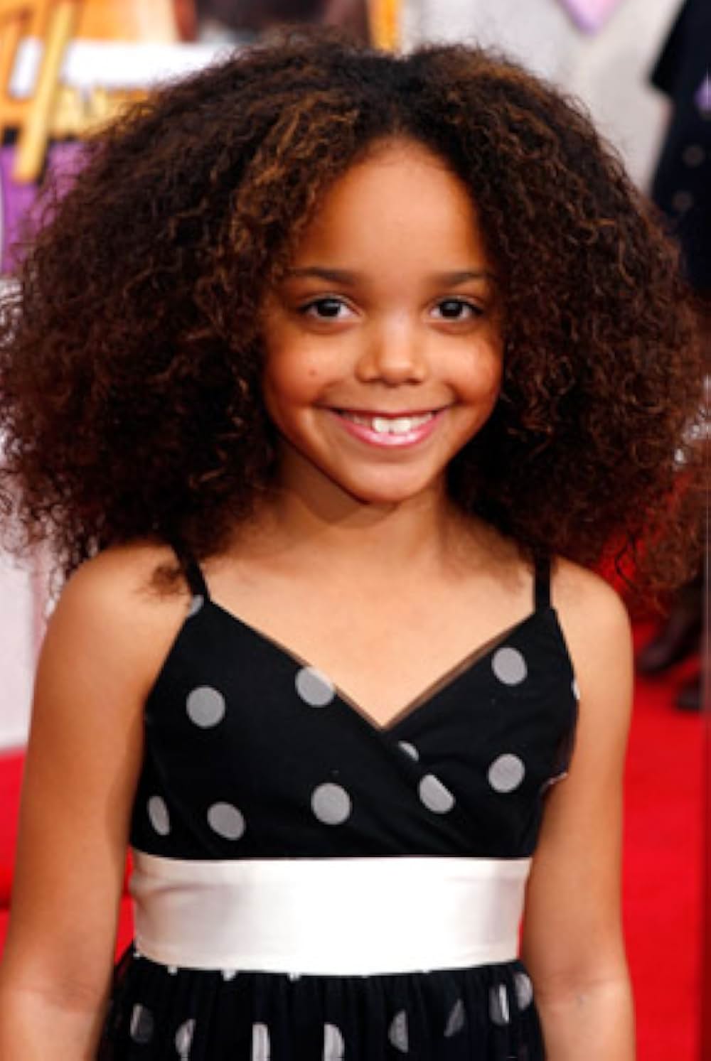 ハンナ・モンタナ／ザ・ムービーの画像