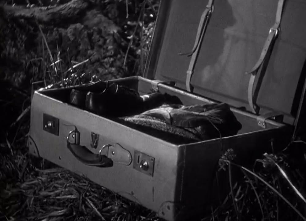 透明人間の逆襲の画像