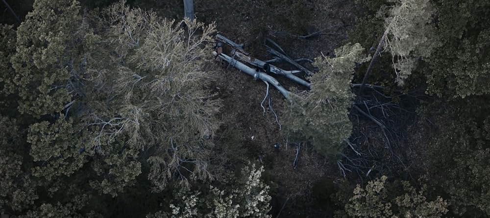 Medieval（原題）の画像