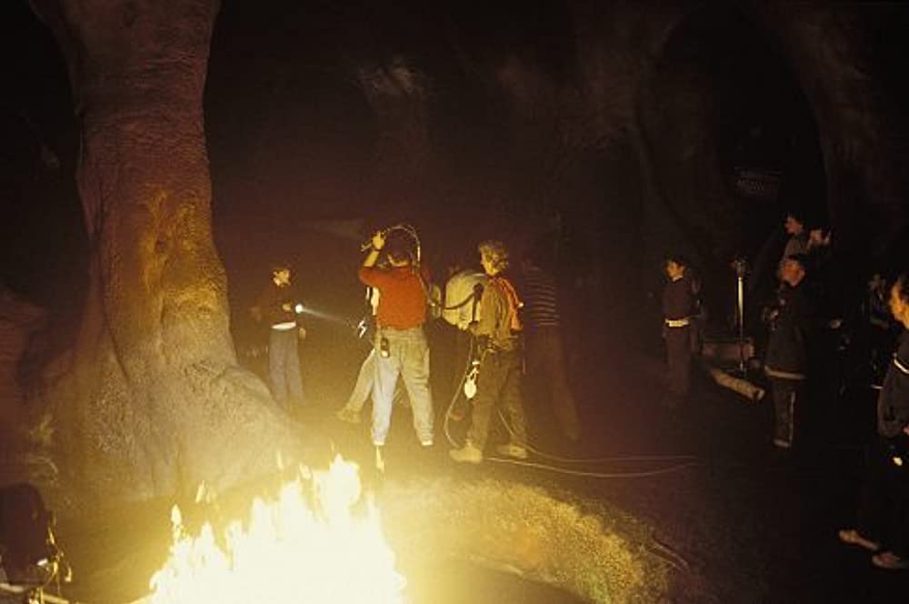 サラマンダーの画像