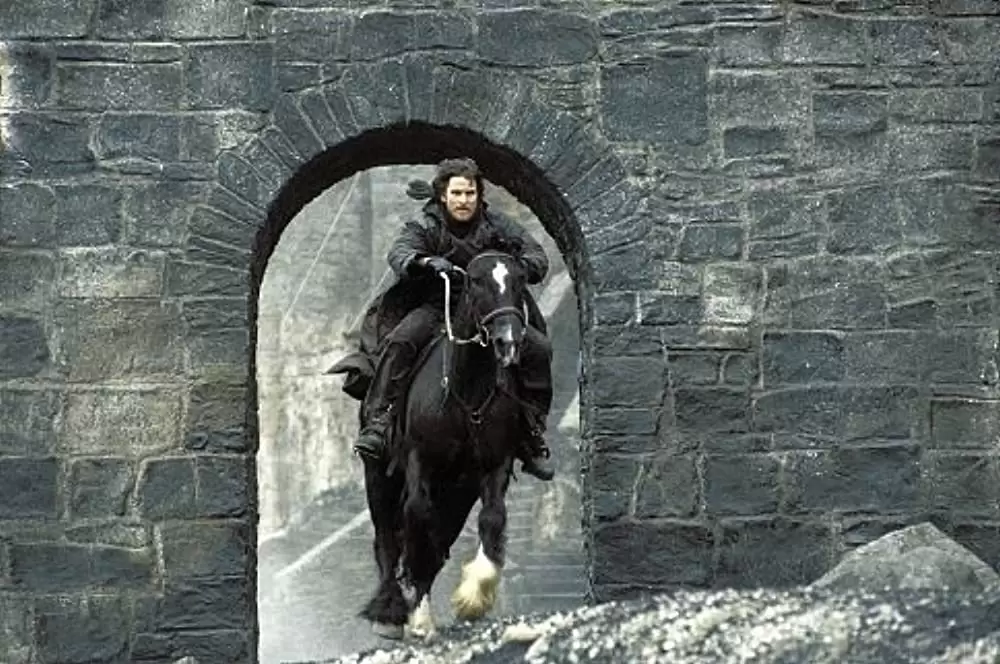 サラマンダーの画像