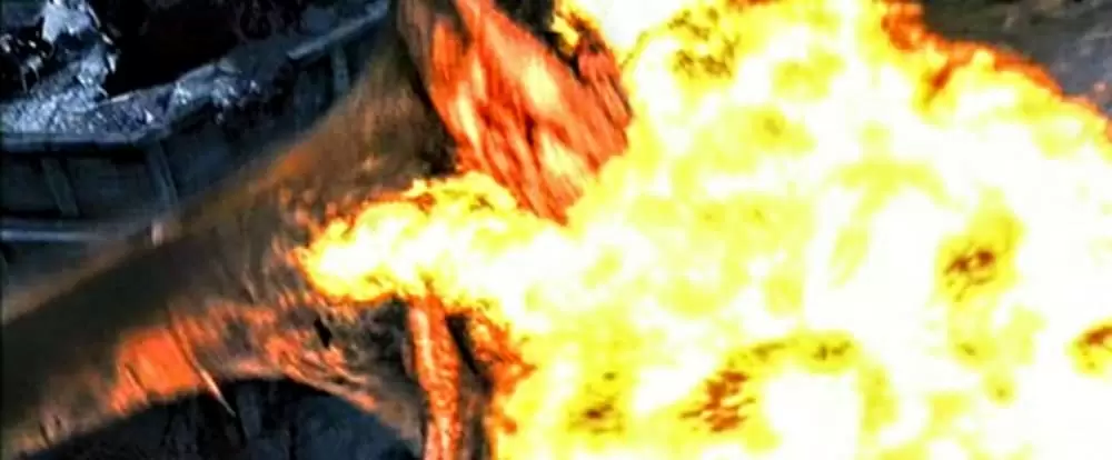 サラマンダーの画像