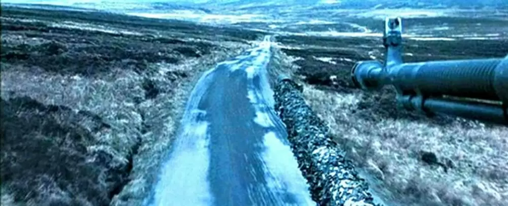 サラマンダーの画像