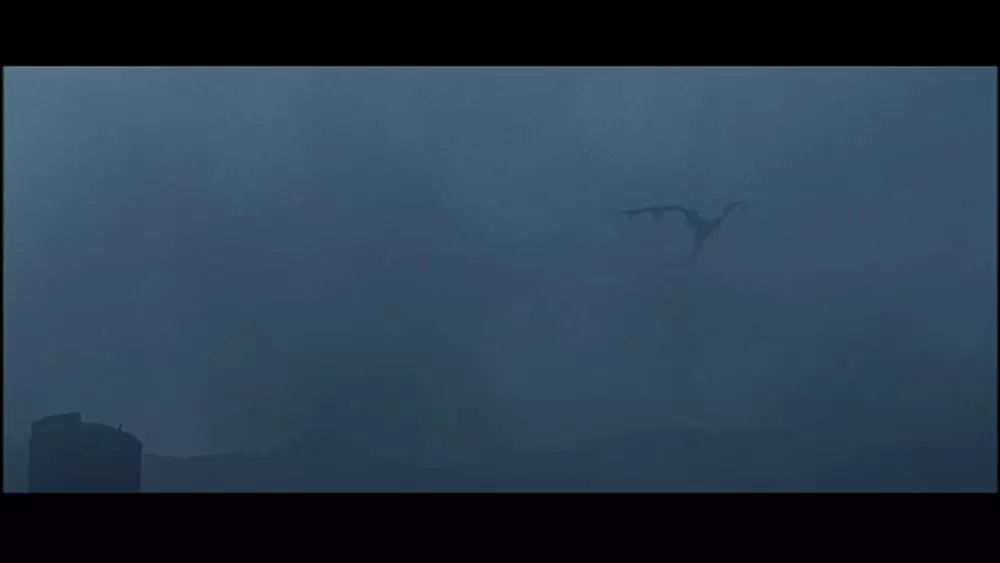 サラマンダーの画像