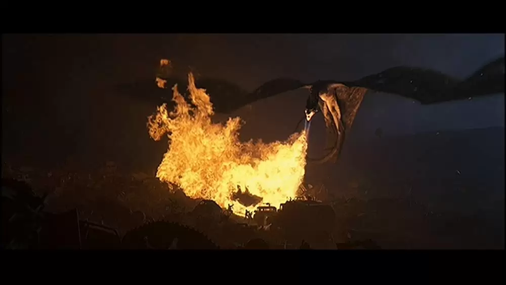 サラマンダーの画像