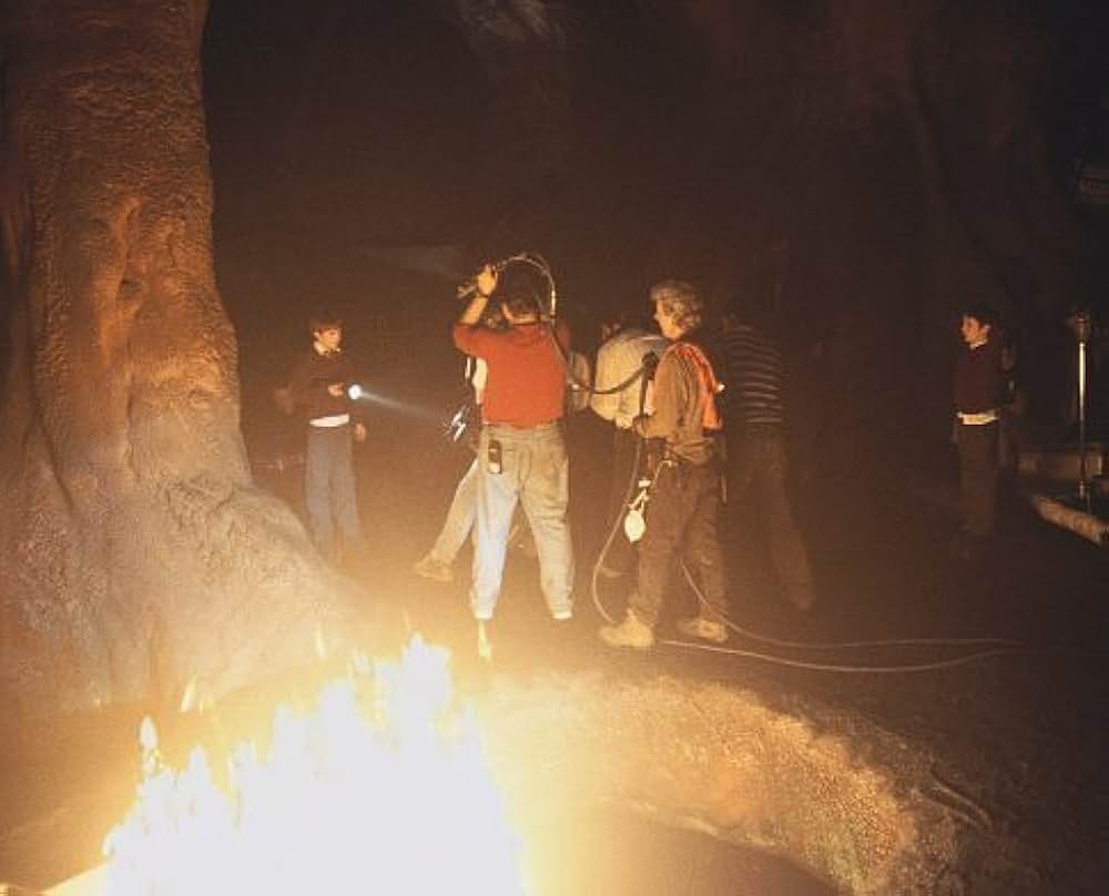 サラマンダーの画像